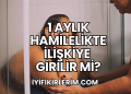 1 Aylık Hamilelikte İlişkiye Girilir mi?