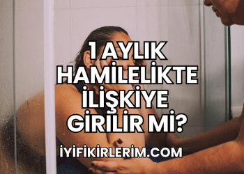1 Aylık Hamilelikte İlişkiye Girilir mi?