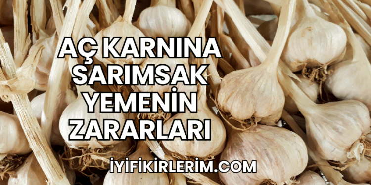 Aç Karnına Sarımsak Yemenin Zararları