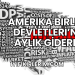 Amerika Birleşik Devletleri'nde Aylık Giderler