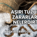 Aşırı Tuzun Zararları Nelerdir?