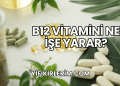 B12 Vitamini Ne İşe Yarar?