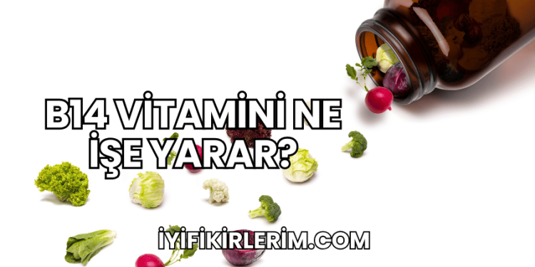 B14 Vitamini Ne İşe Yarar?