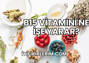 B15 Vitamini Ne İşe Yarar?
