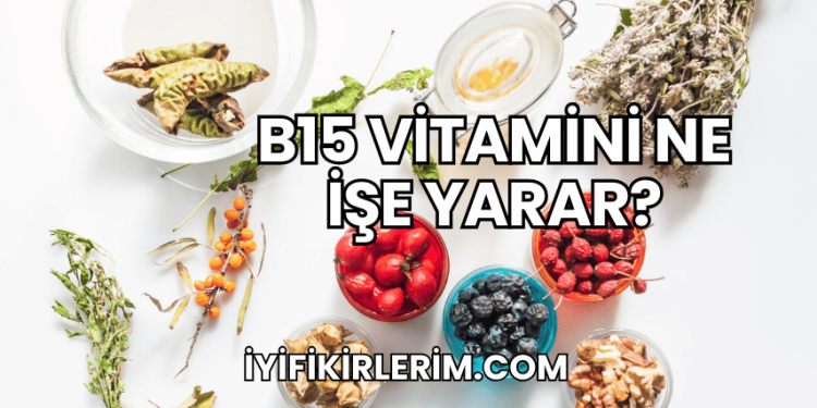 B15 Vitamini Ne İşe Yarar?