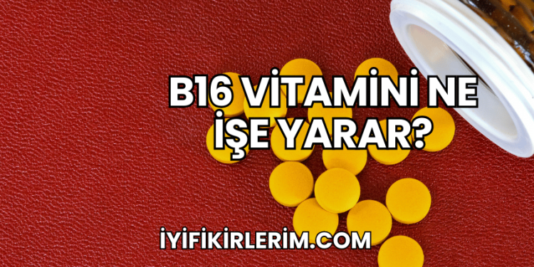 B16 Vitamini Ne İşe Yarar?