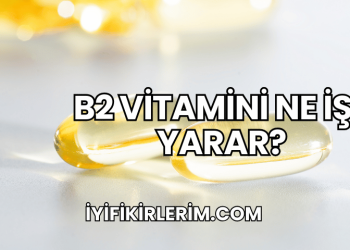 B2 Vitamini Ne İşe Yarar?