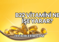 B22 Vitamini Ne İşe Yarar?