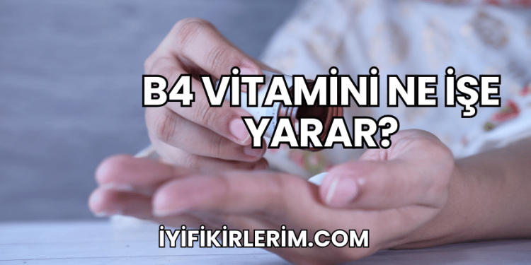 B4 Vitamini Ne İşe Yarar?