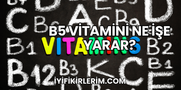 B5 Vitamini Ne İşe Yarar?