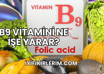 B9 Vitamini Ne İşe Yarar?