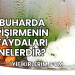 Buharda Pişirmenin Faydaları Nelerdir?