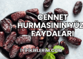Cennet Hurmasının Yüze Faydaları