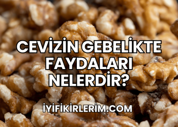 Cevizin Gebelikte Faydaları Nelerdir?