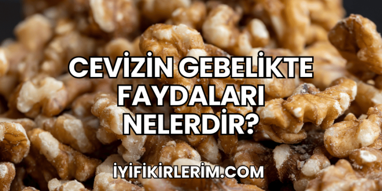Cevizin Gebelikte Faydaları Nelerdir?