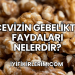 Cevizin Gebelikte Faydaları Nelerdir?