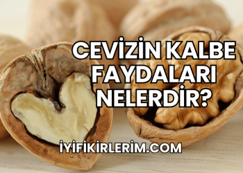 Cevizin Kalbe Faydaları Nelerdir?