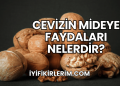Cevizin Mideye Faydaları Nelerdir?
