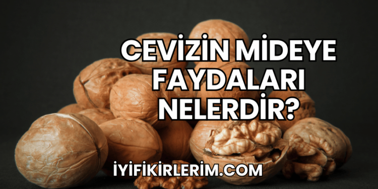 Cevizin Mideye Faydaları Nelerdir?