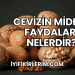 Cevizin Mideye Faydaları Nelerdir?