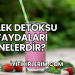 Çilek Detoksu Faydaları Nelerdir?