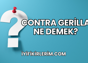 Contra Gerilla Ne Demek?