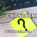 Crit Ne Demek?