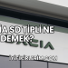 Dacia SD Tipli Ne Demek?