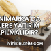 Danimarka'da Nelere Yatırım Yapılmalıdır?