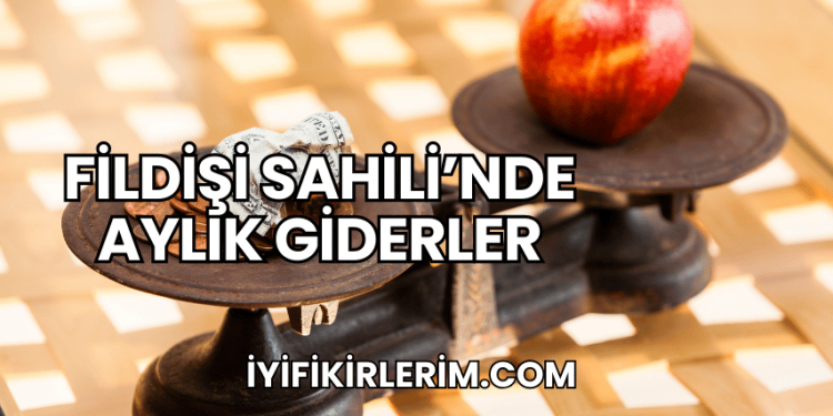 Fildişi Sahili'nde Aylık Giderler
