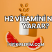 H2 Vitamini Ne İşe Yarar?