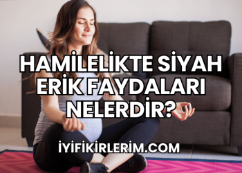 Hamilelikte Siyah Erik Faydaları Nelerdir?