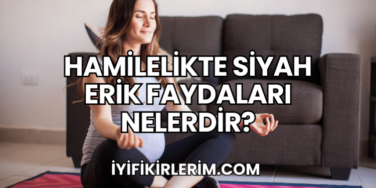 Hamilelikte Siyah Erik Faydaları Nelerdir?