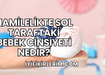 Hamilelikte Sol Taraftaki Bebek Cinsiyeti Nedir?
