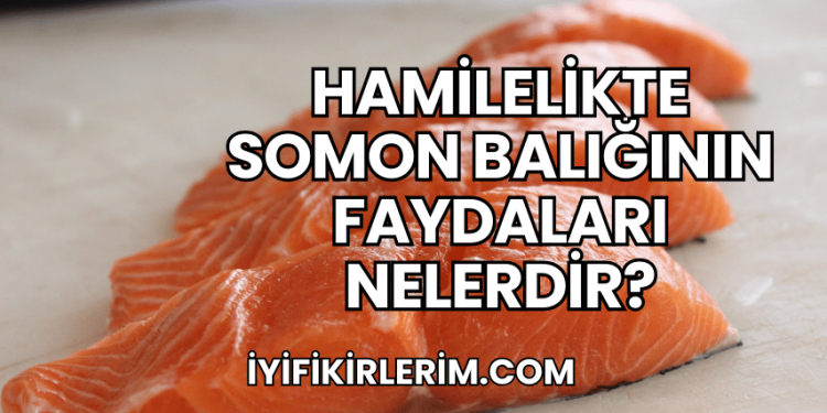 Hamilelikte Somon Balığının Faydaları Nelerdir?