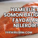 Hamilelikte Somon Balığının Faydaları Nelerdir?