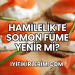 Hamilelikte Somon Füme Yenir mi?
