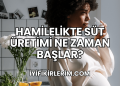 Hamilelikte Süt Üretimi Ne Zaman Başlar?