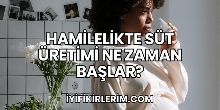 Hamilelikte Süt Üretimi Ne Zaman Başlar?