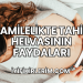 Hamilelikte Tahin Helvasının Faydaları