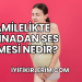 Hamilelikte Vajinadan Ses Gelmesi Nedir?