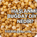 Haşlanmış Buğday Diyeti Nedir?