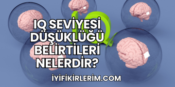 IQ Seviyesi Düşüklüğü Belirtileri Nelerdir?