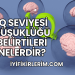 IQ Seviyesi Düşüklüğü Belirtileri Nelerdir?