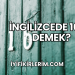 İngilizcede 16 Ne Demek?