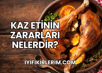 Kaz Etinin Zararları Nelerdir?
