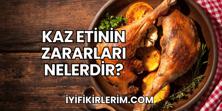 Kaz Etinin Zararları Nelerdir?