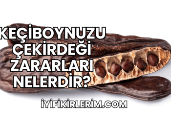 Keçiboynuzu Çekirdeği Zararları Nelerdir?