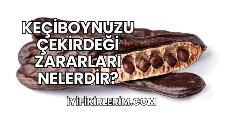 Keçiboynuzu Çekirdeği Zararları Nelerdir?