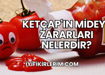 Ketçap'ın Mideye Zararları Nelerdir?